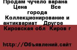 Продам чучело варана › Цена ­ 15 000 - Все города Коллекционирование и антиквариат » Другое   . Кировская обл.,Киров г.